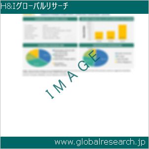 グローバルリサーチ調査レポートのイメージ